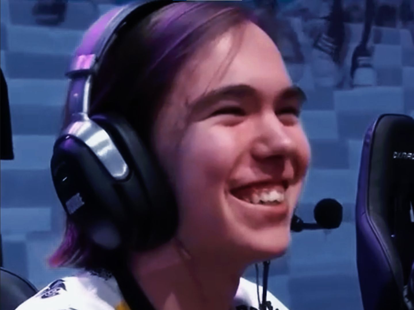 可以看到典 可以看到典