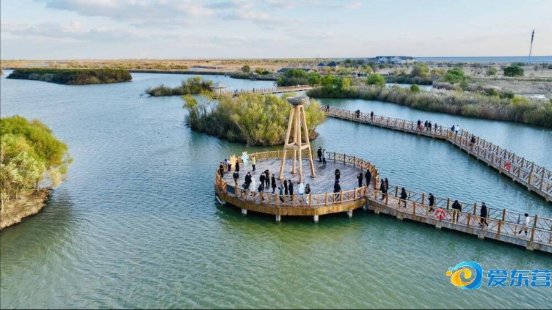 阵容调整更 阵容调整更