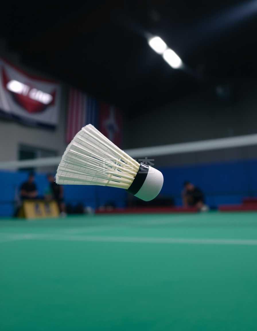 给网红选手 给网红选手