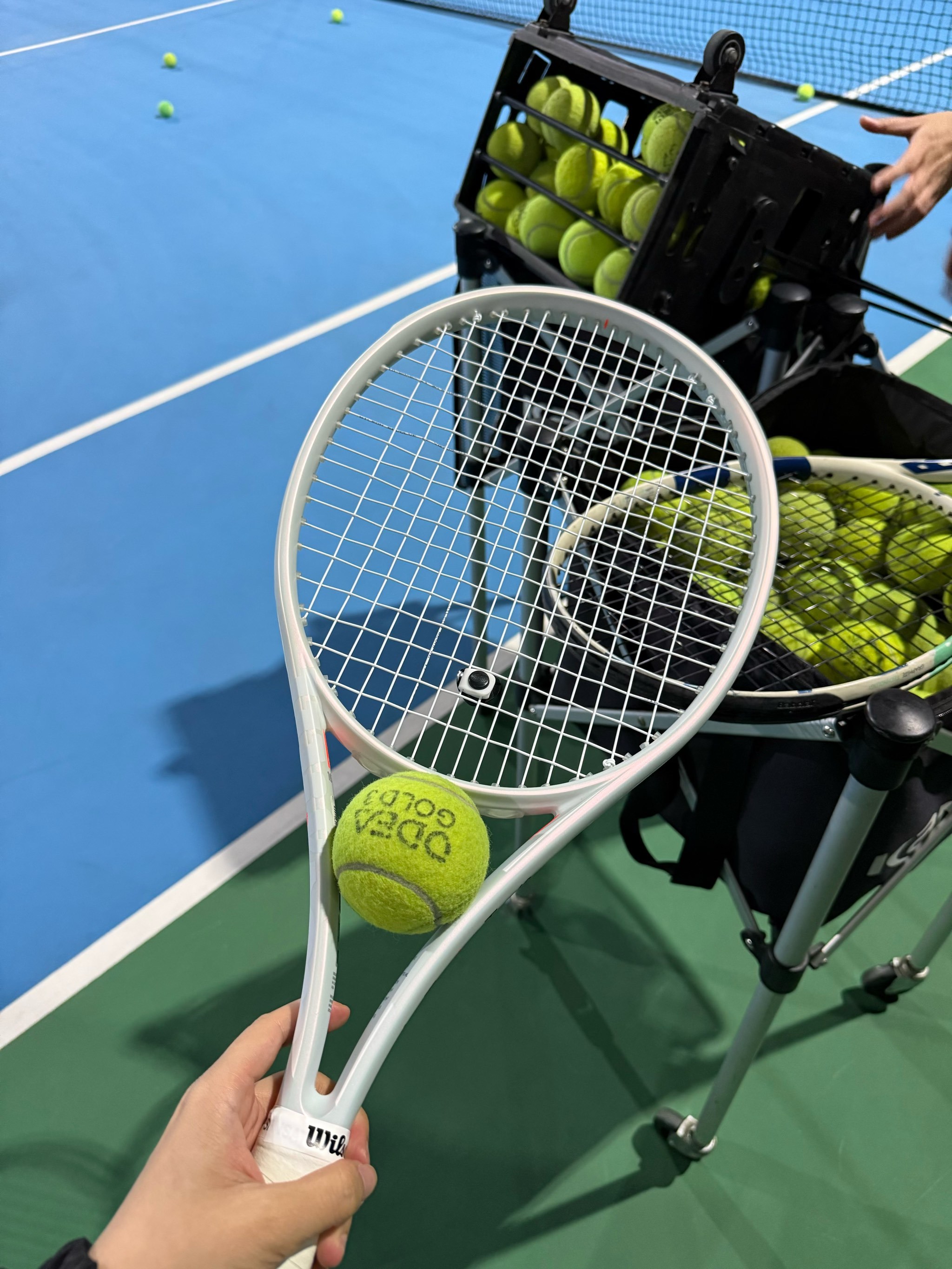 体战术框架 体战术框架